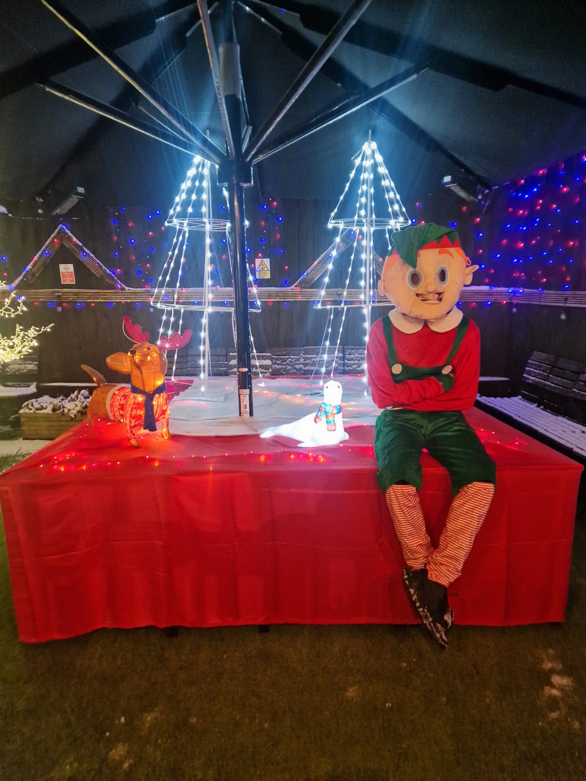 1st Dec (15)