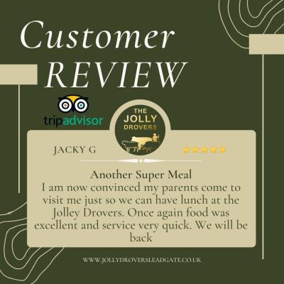 Jolly Reviews 5