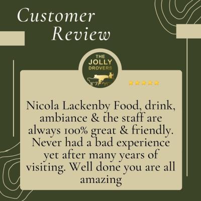 Jolly Reviews 6