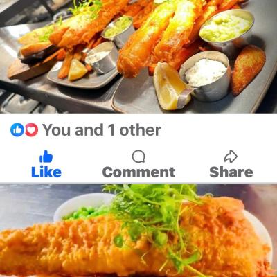 Jolly Food 100